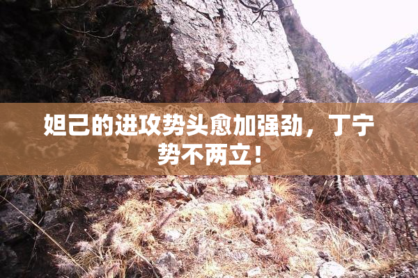 妲己的进攻势头愈加强劲，丁宁势不两立！