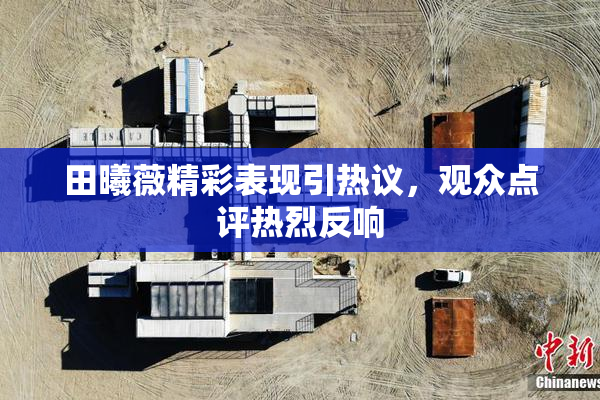 田曦薇精彩表现引热议，观众点评热烈反响