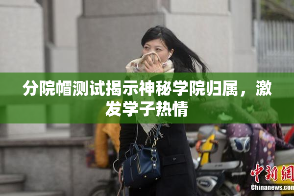 分院帽测试揭示神秘学院归属，激发学子热情