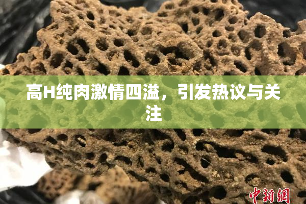 高H纯肉激情四溢，引发热议与关注