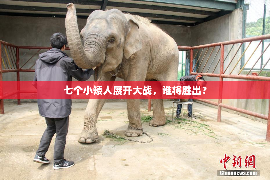 七个小矮人展开大战，谁将胜出？