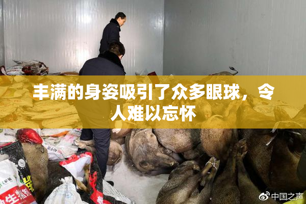 丰满的身姿吸引了众多眼球，令人难以忘怀