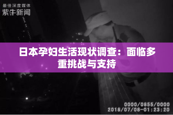 日本孕妇生活现状调查：面临多重挑战与支持
