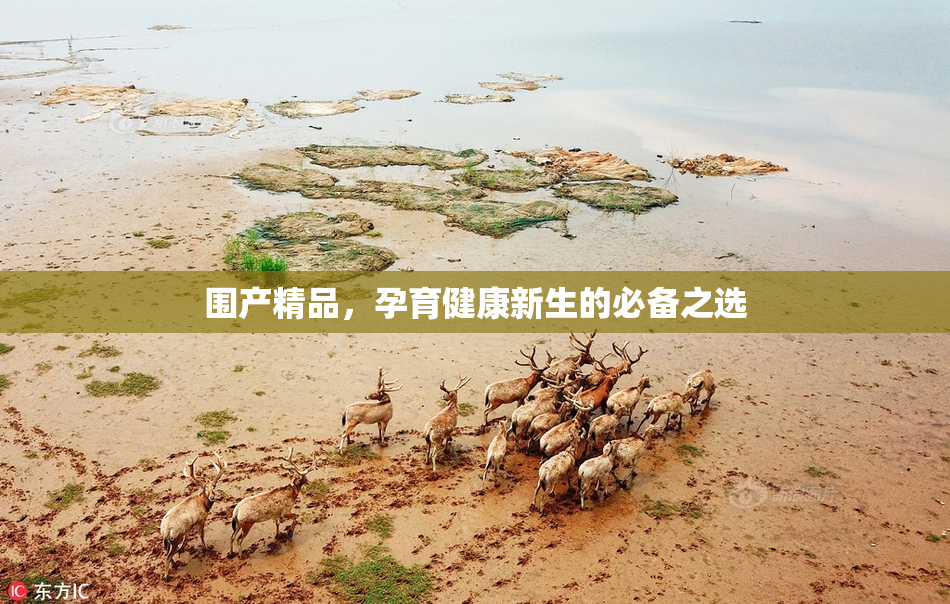 围产精品，孕育健康新生的必备之选