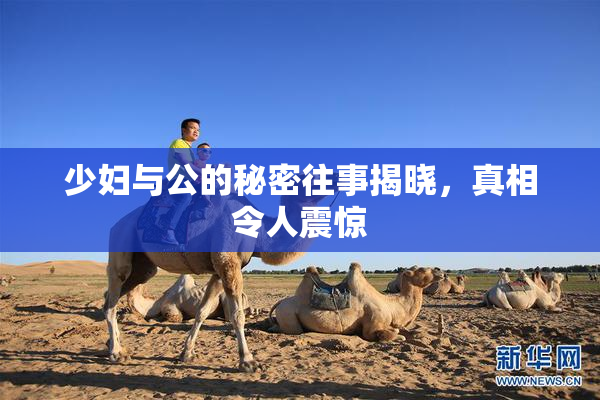 少妇与公的秘密往事揭晓，真相令人震惊