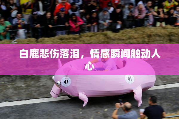 白鹿悲伤落泪，情感瞬间触动人心