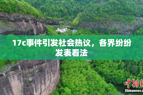 17c事件引发社会热议，各界纷纷发表看法