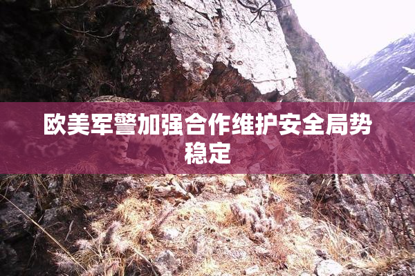 欧美军警加强合作维护安全局势稳定