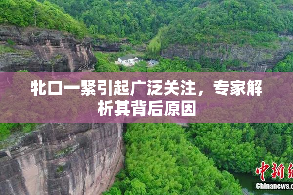 牝口一紧引起广泛关注，专家解析其背后原因
