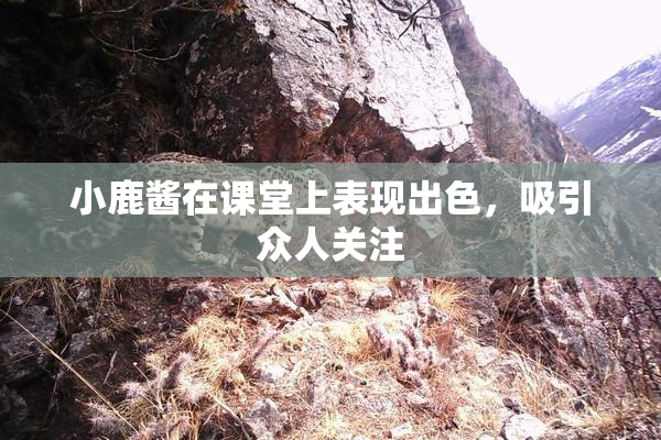 小鹿酱在课堂上表现出色，吸引众人关注