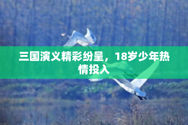 三国演义精彩纷呈，18岁少年热情投入