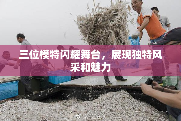 三位模特闪耀舞台，展现独特风采和魅力