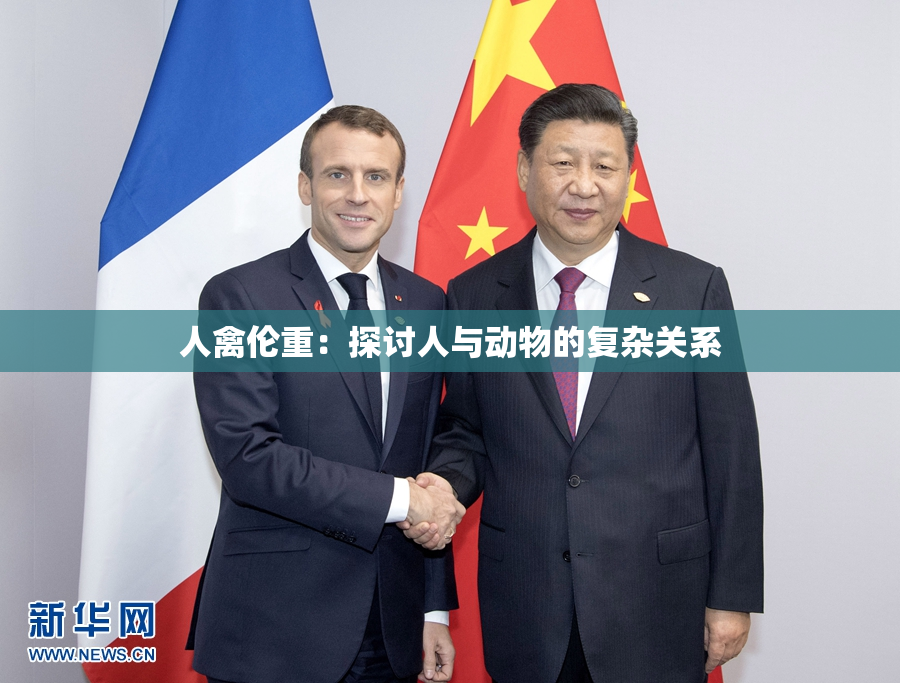 人禽伦重：探讨人与动物的复杂关系