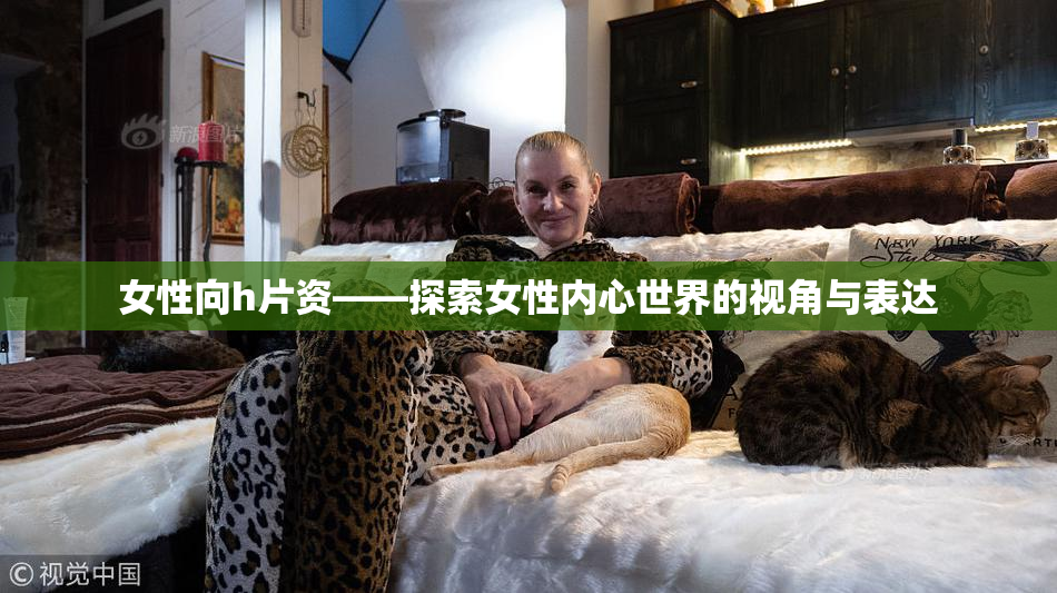 女性向h片资——探索女性内心世界的视角与表达