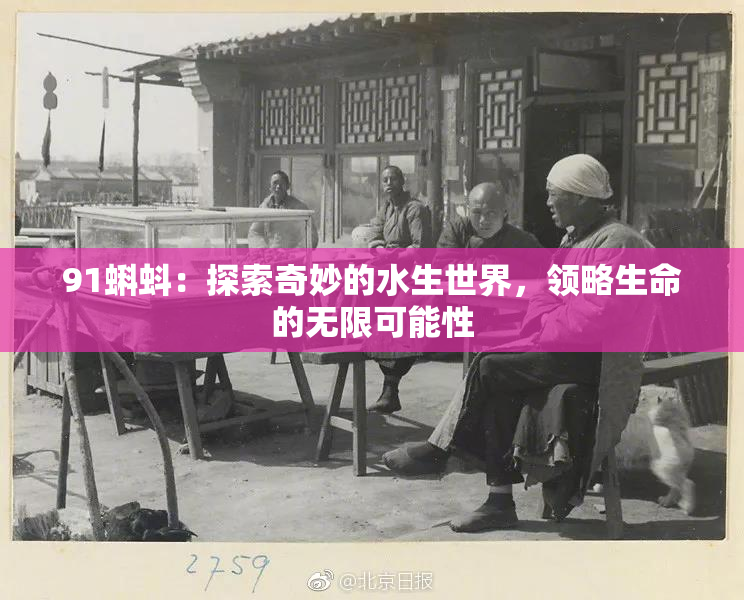 91蝌蚪：探索奇妙的水生世界，领略生命的无限可能性
