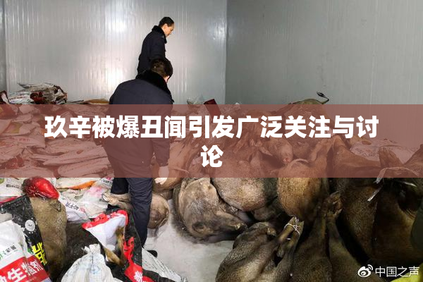 玖辛被爆丑闻引发广泛关注与讨论