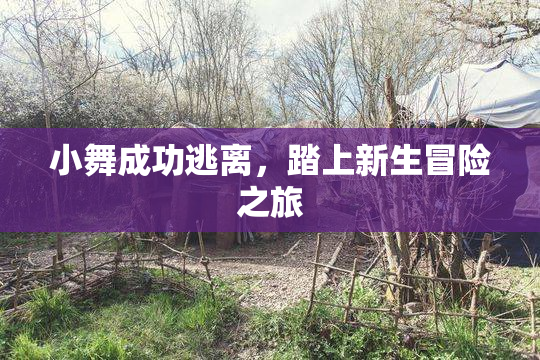 小舞成功逃离，踏上新生冒险之旅