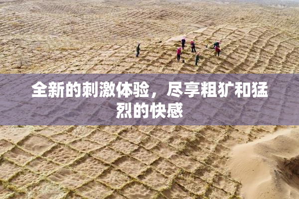全新的刺激体验，尽享粗犷和猛烈的快感