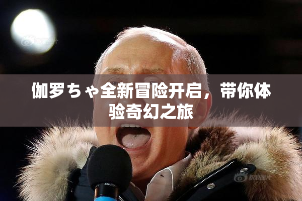 伽罗ちゃ全新冒险开启，带你体验奇幻之旅