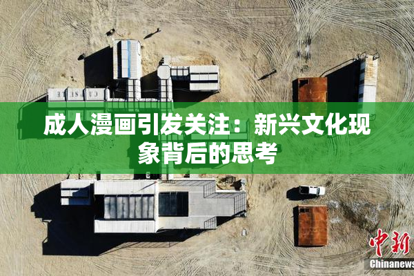成人漫画引发关注：新兴文化现象背后的思考