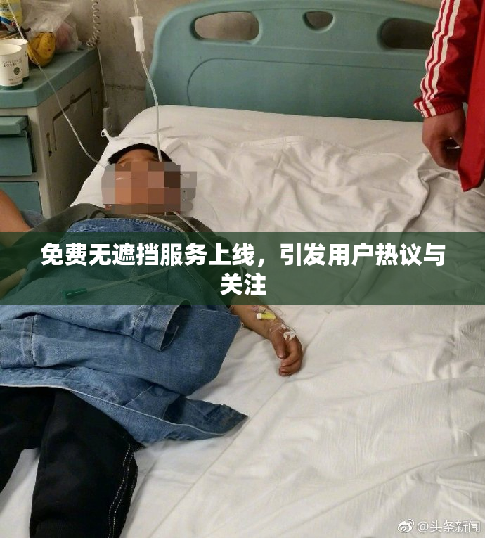 免费无遮挡服务上线，引发用户热议与关注