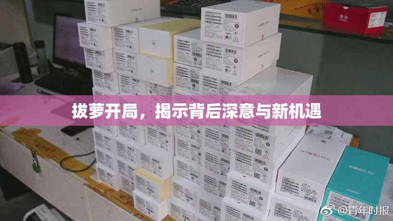 拔萝开局，揭示背后深意与新机遇