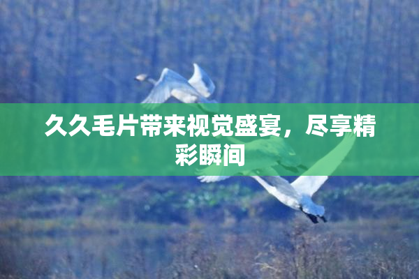 久久毛片带来视觉盛宴，尽享精彩瞬间