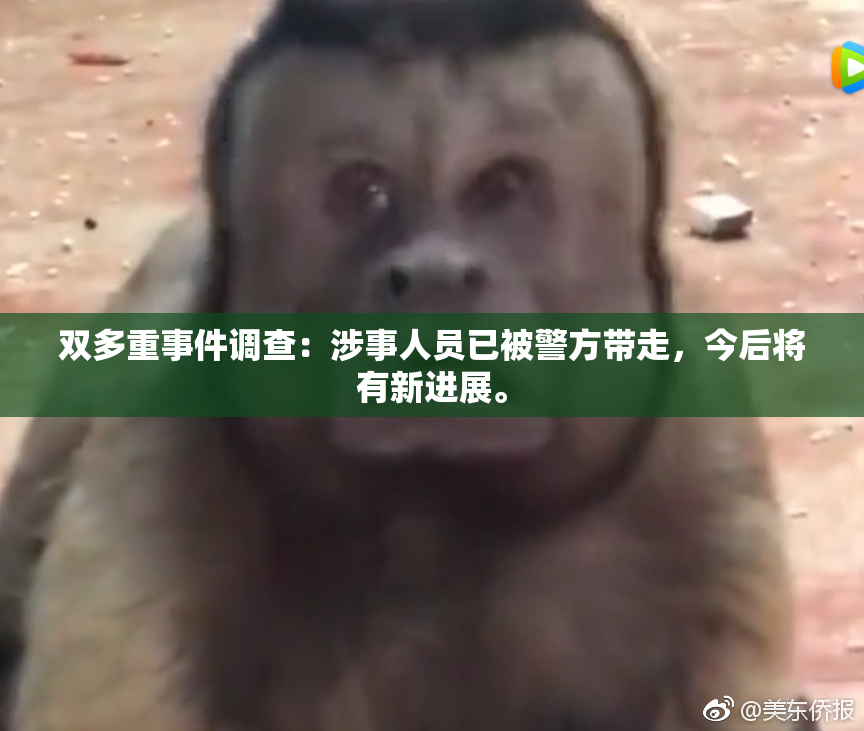 双多重事件调查：涉事人员已被警方带走，今后将有新进展。