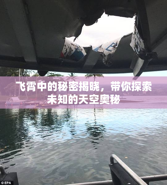 飞霄中的秘密揭晓，带你探索未知的天空奥秘