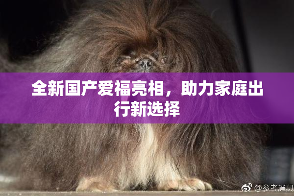 全新国产爱福亮相，助力家庭出行新选择