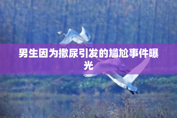 男生因为撒尿引发的尴尬事件曝光