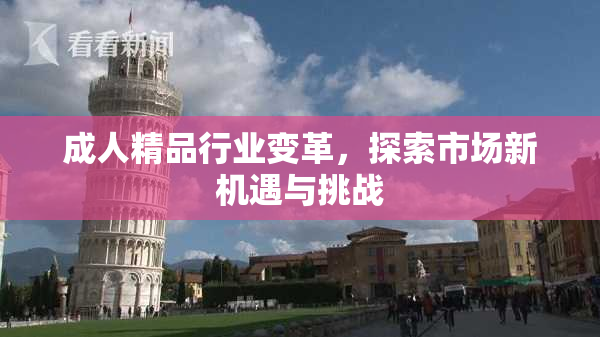 成人精品行业变革，探索市场新机遇与挑战