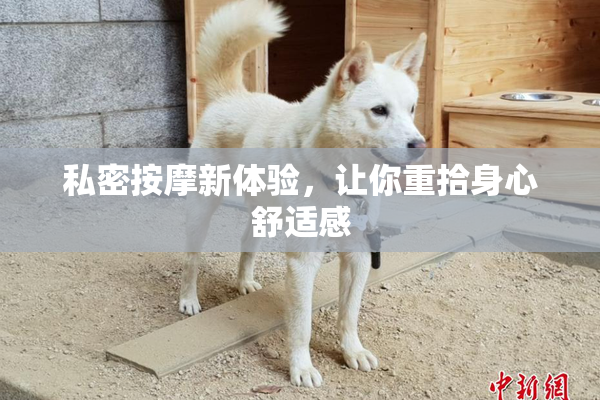 私密按摩新体验，让你重拾身心舒适感