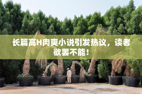 长篇高H肉爽小说引发热议，读者欲罢不能！