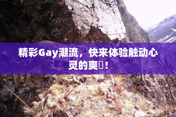 精彩Gay潮流，快来体验触动心灵的爽擼！