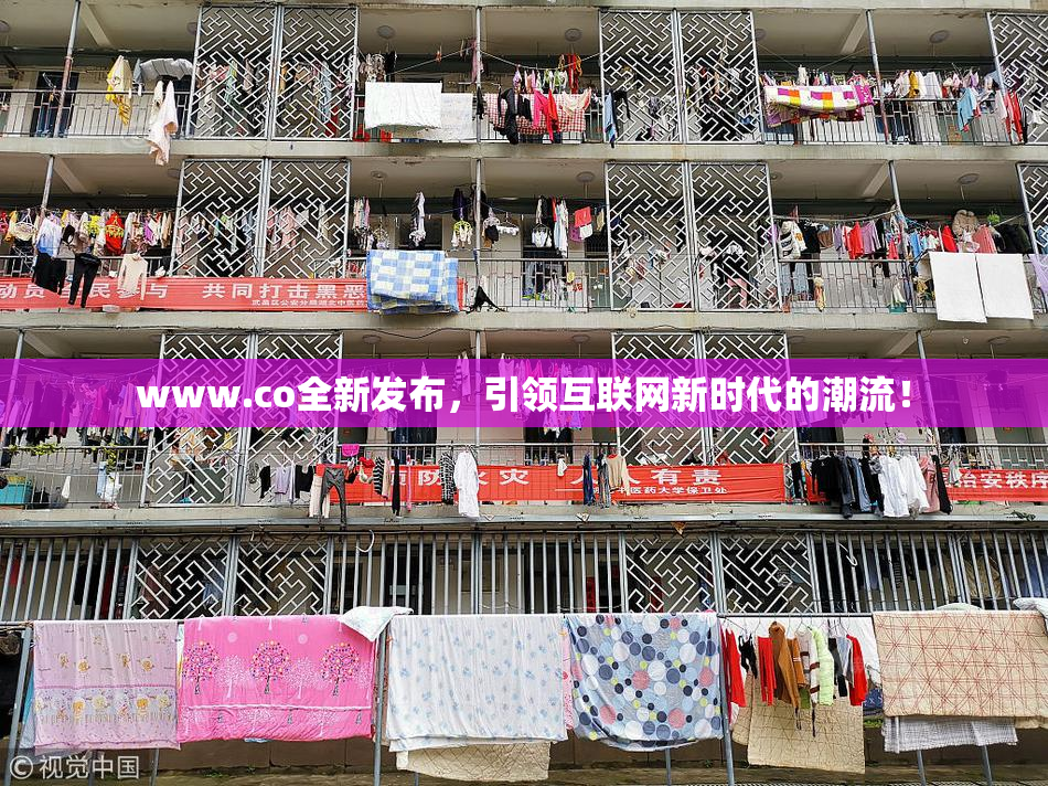 www.co全新发布，引领互联网新时代的潮流！