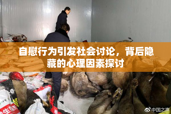 自慰行为引发社会讨论，背后隐藏的心理因素探讨