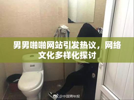 男男啪啪网站引发热议，网络文化多样化探讨