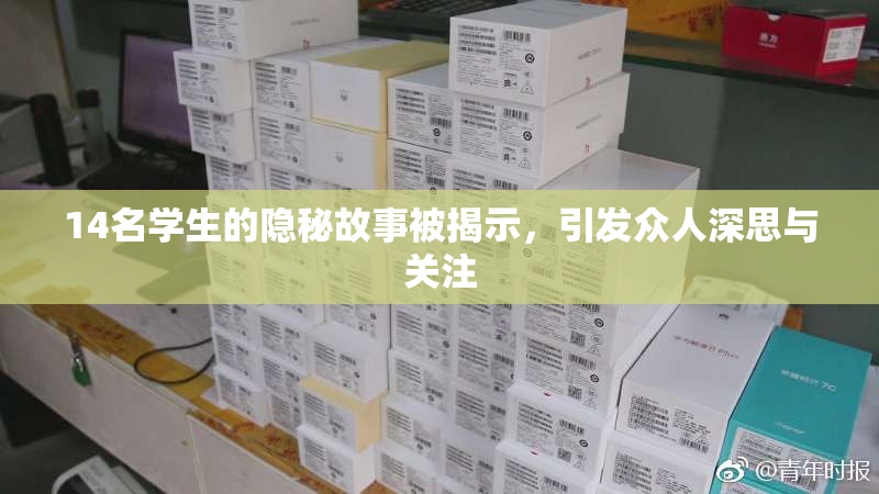 14名学生的隐秘故事被揭示，引发众人深思与关注