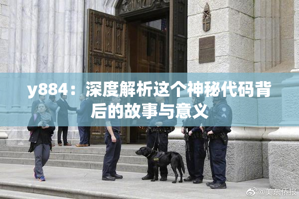 y884：深度解析这个神秘代码背后的故事与意义