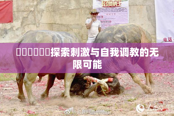 ❌‌❌‌❌‌探索刺激与自我调教的无限可能