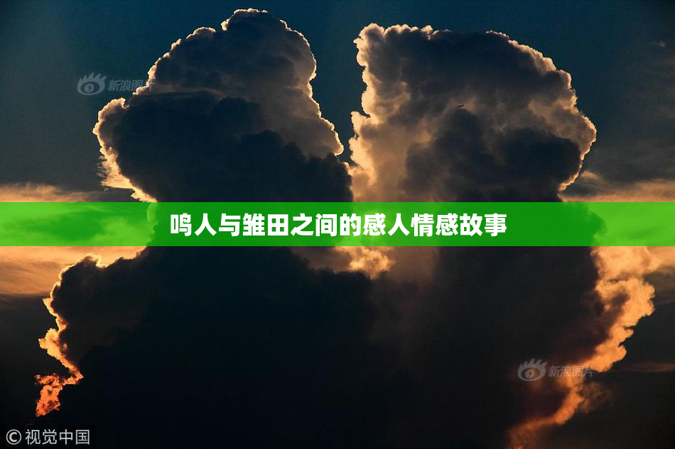 鸣人与雏田之间的感人情感故事