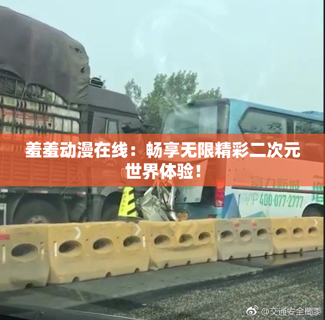 羞羞动漫在线：畅享无限精彩二次元世界体验！