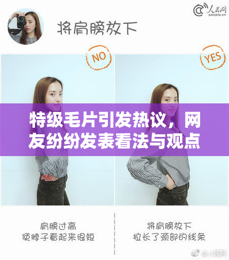 特级毛片引发热议，网友纷纷发表看法与观点