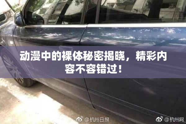 动漫中的裸体秘密揭晓，精彩内容不容错过！