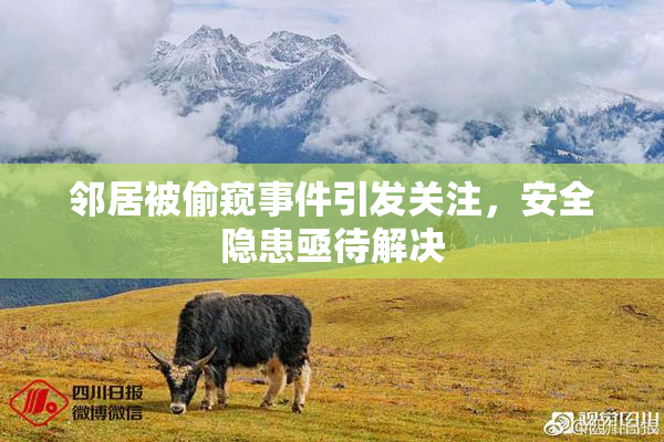 邻居被偷窥事件引发关注，安全隐患亟待解决