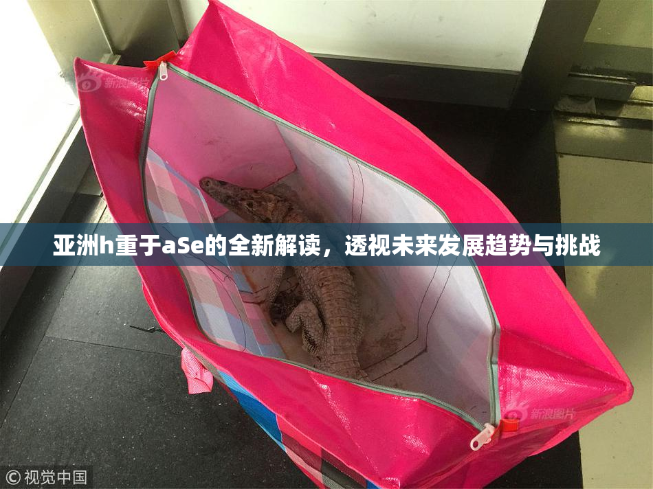 亚洲h重于aSe的全新解读，透视未来发展趋势与挑战