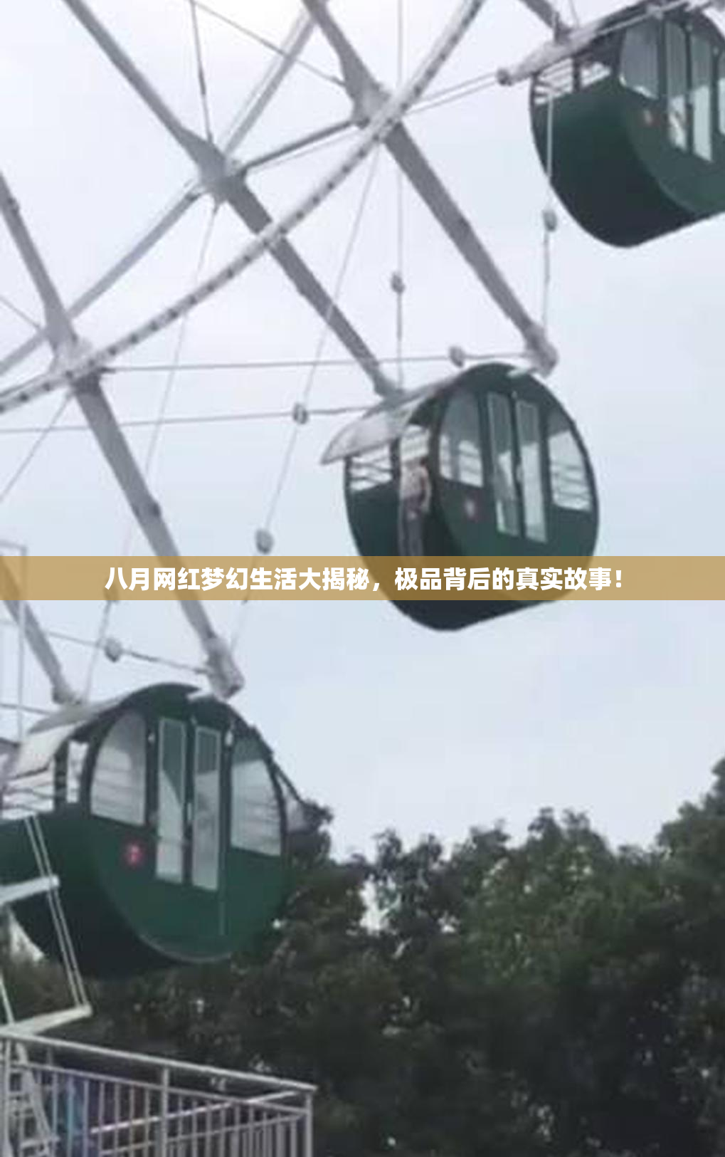 八月网红梦幻生活大揭秘，极品背后的真实故事！