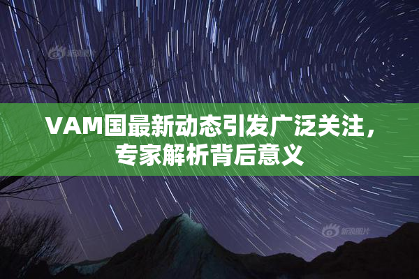 VAM国最新动态引发广泛关注，专家解析背后意义