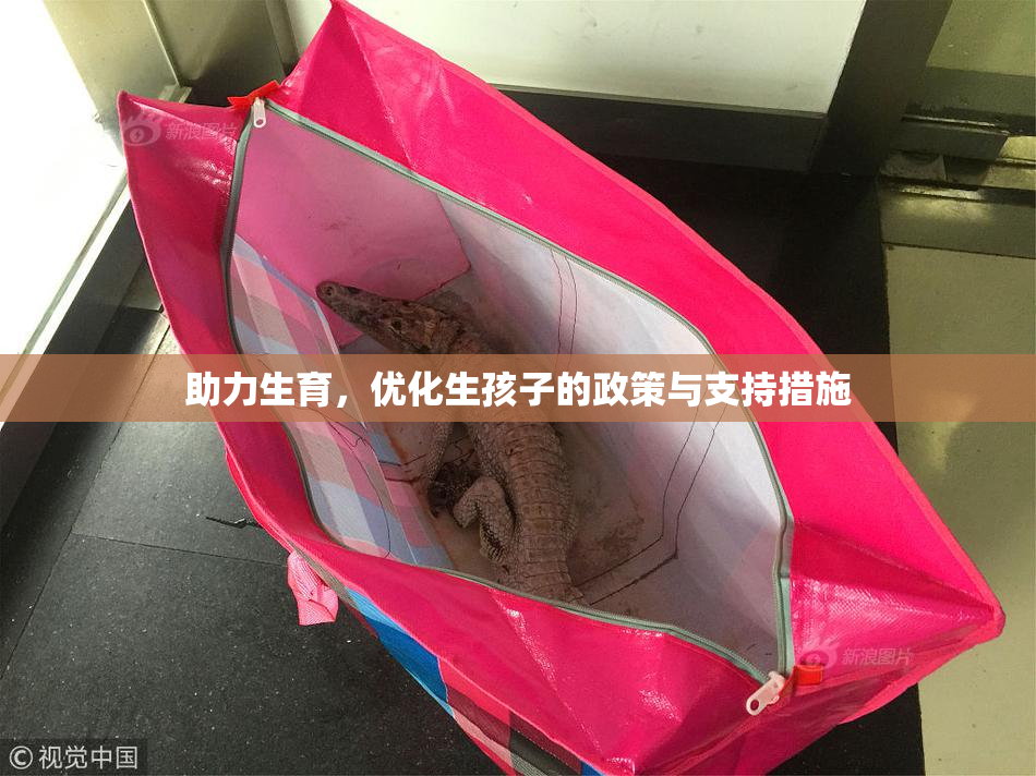 助力生育，优化生孩子的政策与支持措施